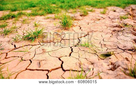 Dry Ground