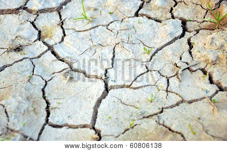 Dry Ground