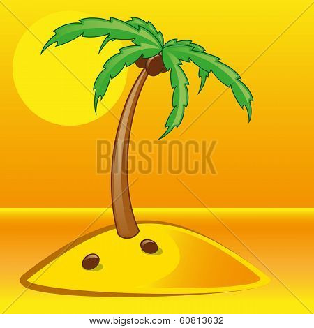 tropical palm