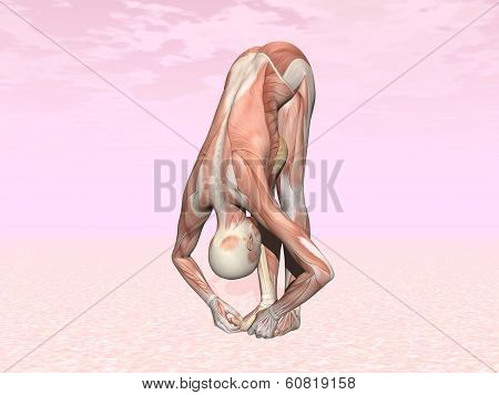 Big toes yoga pose for woman with muscle visible