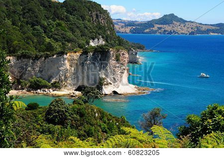 Coromandel