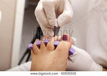Toenails In Fuchsia