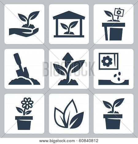 Vector Plant Growing Icons Set