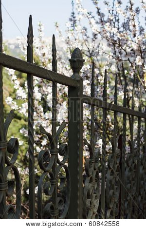 Iron Fence .