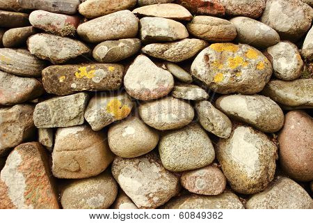 Solid  Stonewall With Round Stones And Alga