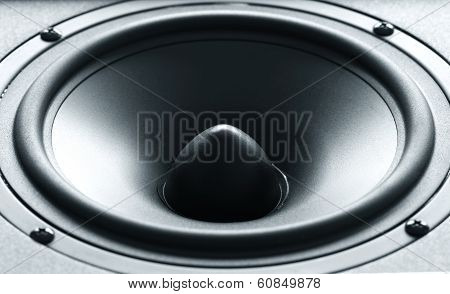 Huge Black Bass Speaker With High Quality Membrane