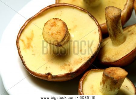 Varietà di Jack scivoloso funghi commestibili (Suillus Luteus)