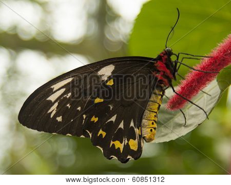 Beauty in nature