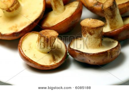 Varietà di Jack scivoloso funghi commestibili (Suillus Luteus)