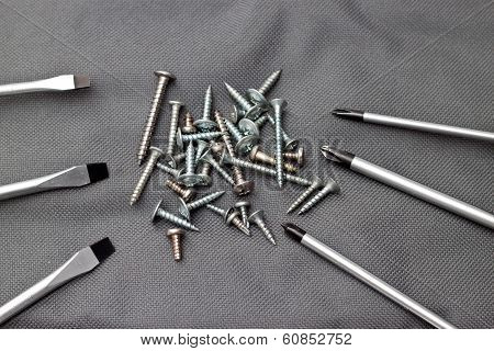 Screwdrivers And Nails