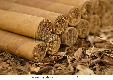 Cigars on Tobacco