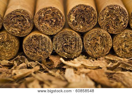 Cigars on Tobacco