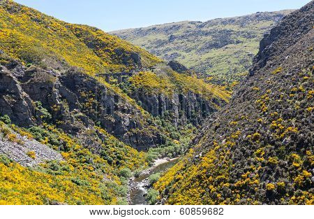 Taieri Gorge Railway On Side Of Ravine With Bridge