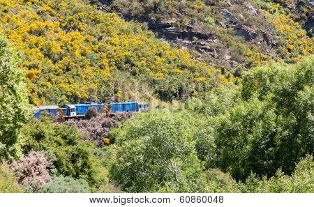 Twin Diesel Engines Taieri Gorge Railway