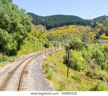 Railway Track Up Taieri Gorge New Zealand