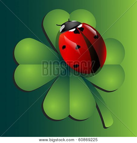 Ladybug on clover