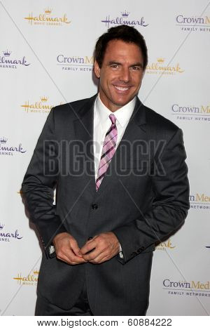 LOS ANGELES - JAN 11: Mark Steines at the Hallmark Winter TCA Party at The Huntington Library on January 11, 2014 in San Marino, CA