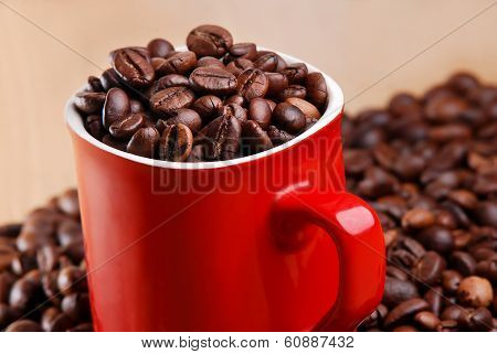 Coffe Bean