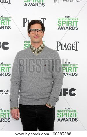 LOS ANGELES - MAR 1:  Andy Samberg at the Film Independent Spirit Awards at Tent on the Beach on March 1, 2014 in Santa Monica, CA