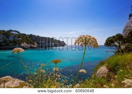 Cala Macarella Ciudadela Menorca turquoise Mediterranean sea in Balearic islands