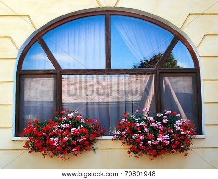 Window Decoration With Flowers