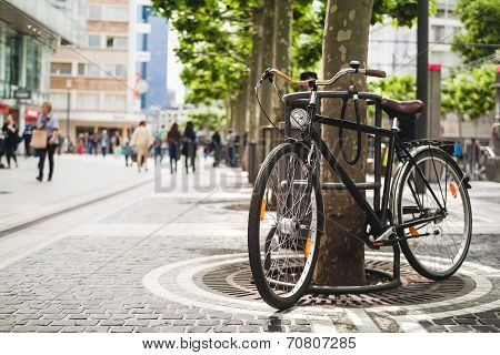 Bike Standing Near A Platan Tree In Frankfurt, Germany