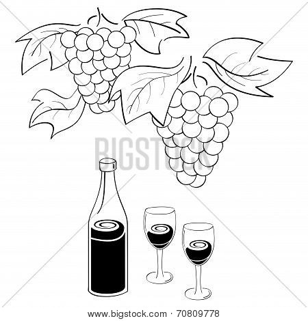Vine and wine