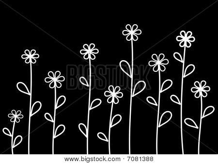 Flowers in the dark