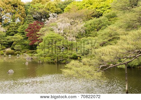 The scenery of Japanese garden with the pone near Heian Shrine.