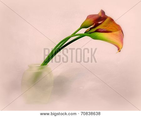 callas