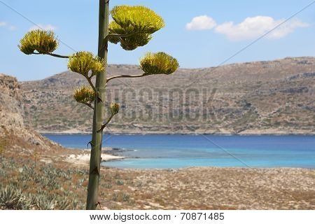 Turquoise Beach At Imeri Gramvousa Bay. Crete. Greece