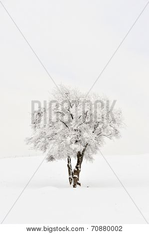 beautiful winter landscape in Sirnea, Romania
