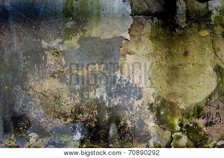 Grunge Home Background