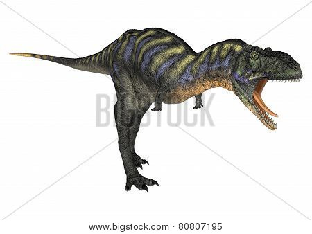 Dinosaur Aucasaurus