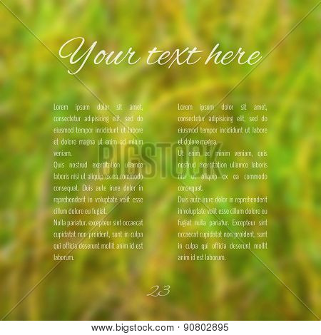 Abstract Blurred Background
