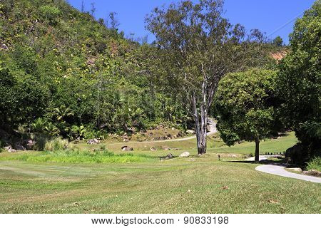 Golf course at the Constance Lemuria Resort.