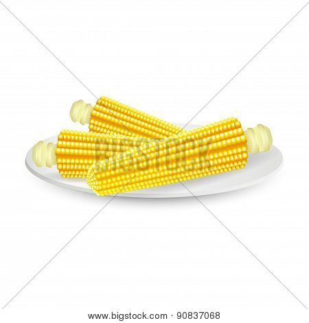 Corn Vector Illustration