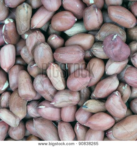 Arachis Background