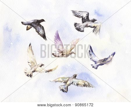 Flying Birds Watercolor
