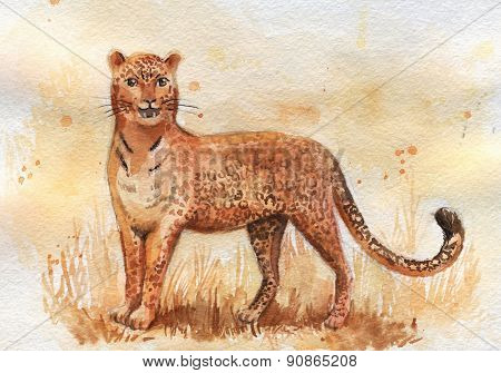 Watercolor Hand Drawing Leopard