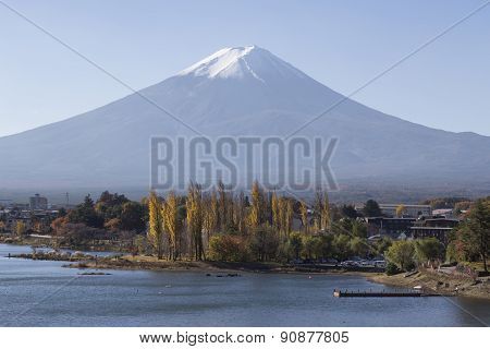 Mt.fuji In Autumn, Japan