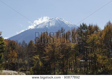 Mt.fuji In Autumn, Japan