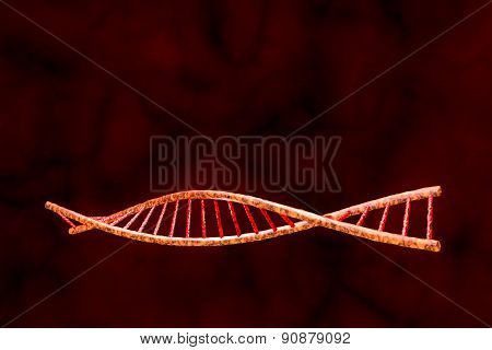 Human Dna