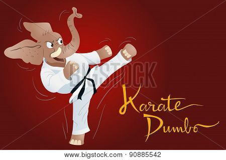 Karate Dumbo