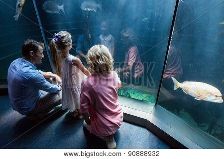 Familly looking at fish tank at the aquarium