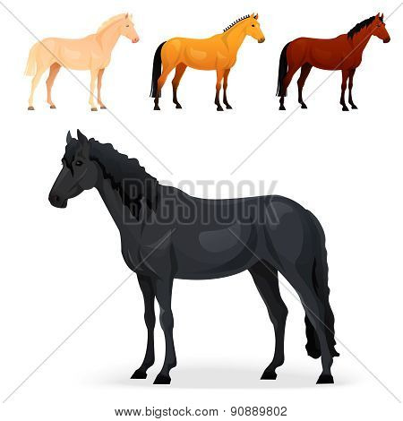 Set of realistic horse with different coats.