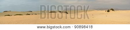 The famous dunes at Corralejo Fuerteventura