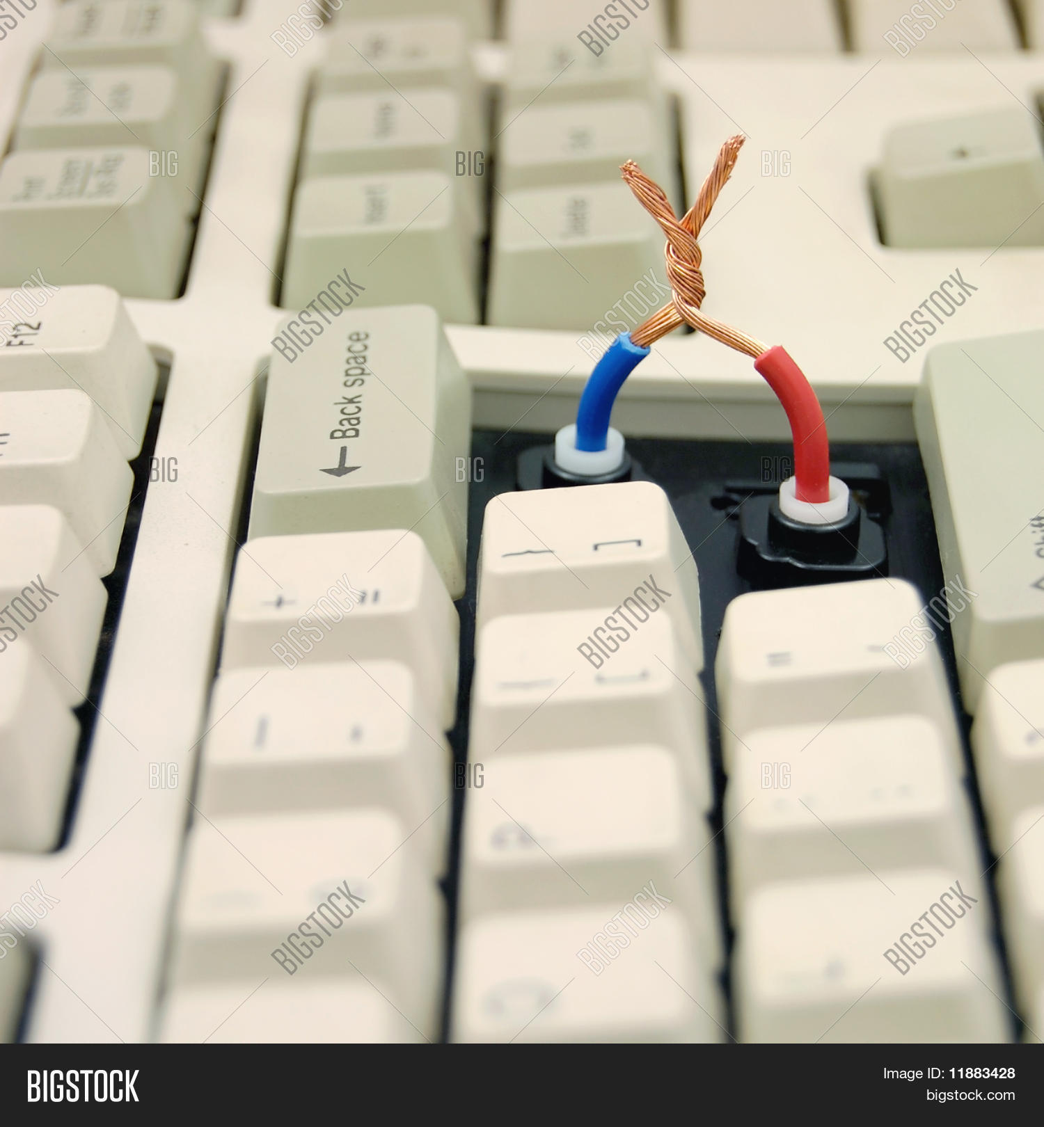 Image Preview