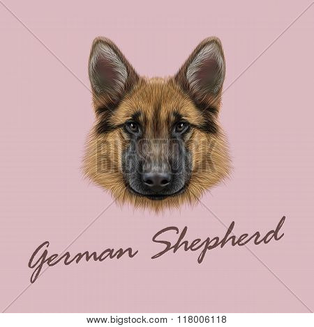 German Shepherd Dog