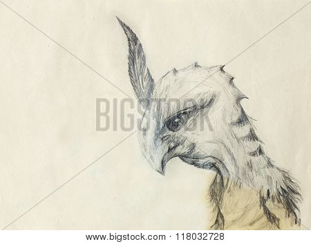 chicken dragon on old paper background. ocre color.